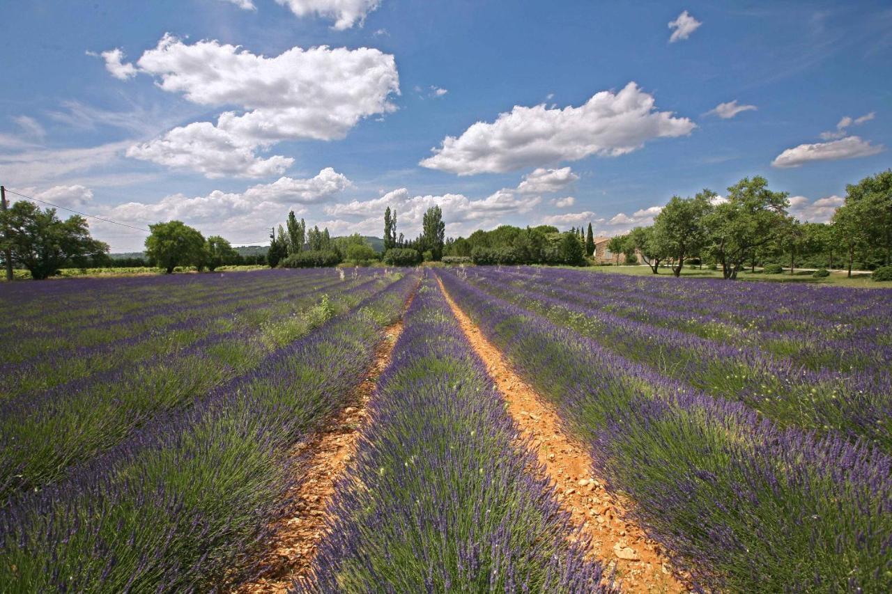 Gites Dans Mas En Pierres Robion en Luberon Exterior foto